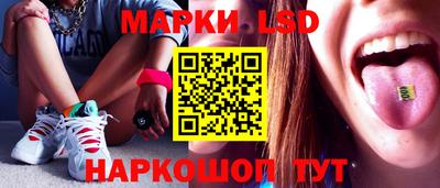 стаф Аргун