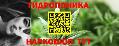 стаф Аргун
