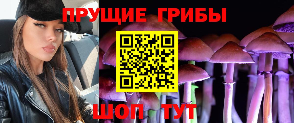Псилоцибиновые грибы GOLDEN TEACHER Владикавказ