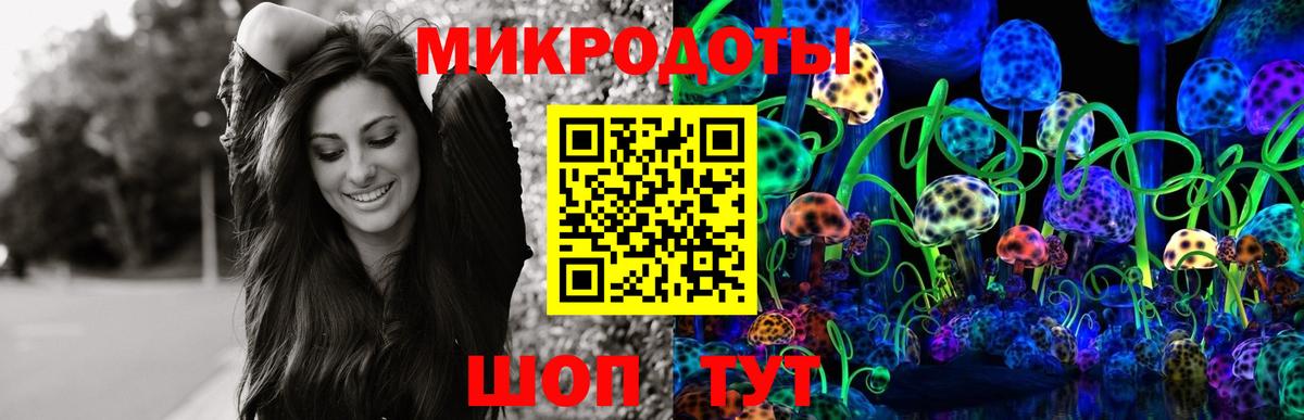 Псилоцибиновые грибы Magic Shrooms  Галлюциногенные грибы MAGIC MUSHROOMS  купить наркотики цена  Владикавказ  Вход с VPN 